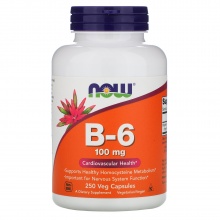  NOW B-6 100 mg 250 