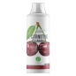 - Nature Foods L-carnitine + Guarana Concentrate 1000 